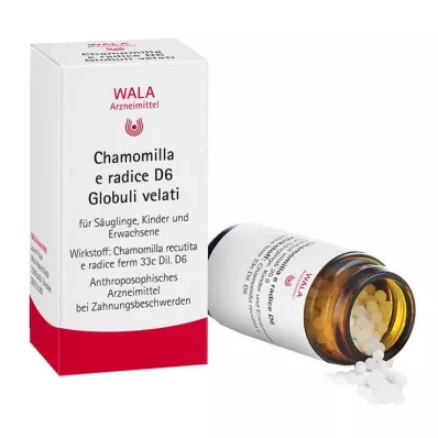 Chamomilla E Radix D 6 kulor, 20 g Chamomilla E Radix D 6 kulor, 20 g