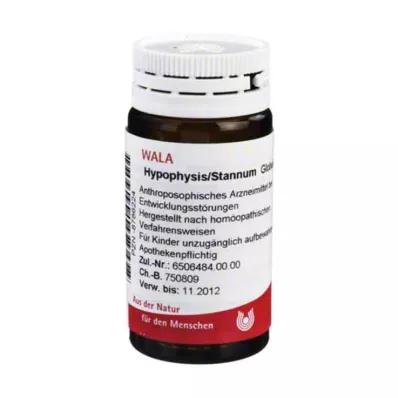 Hypophysis / Stannum Globules, 20 g Hypophysis / Stannum Globules, 20 g