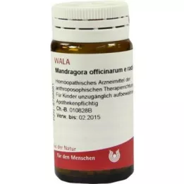 MANDRAGORA OFFICINARIUM e radice D 6 globuler, 20 g