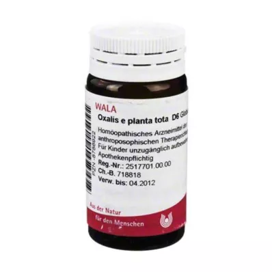 Oxalis E Planta Tota D 6 kulor, 20 g Oxalis E Planta Tota D 6 kulor, 20 g