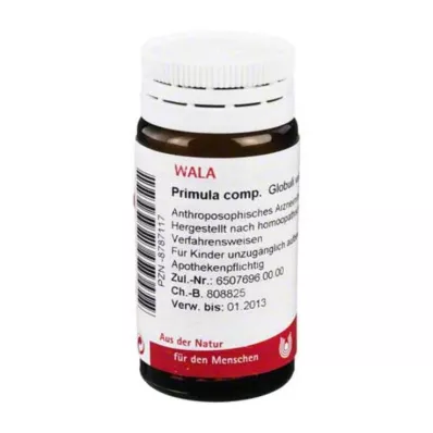 Primula komp.Kulor, 20 g
