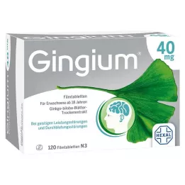 GINGIUM 40 mg filmdragerade tabletter, 120 st