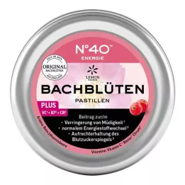 ENERGIE BACHBLÜTENPASTILLEN enligt Dr.Bach, 50 g