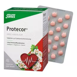 PROTECOR Kardiovaskulär Tabl.z.Funktionsunt.Salus, 250 st