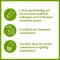LINICIN Lotion 15 min. utan luskam, 100 ml