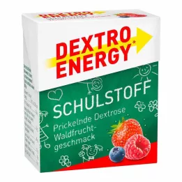 DEXTRO ENERGY Skolmaterial Skogsfrukttabletter, 50 g