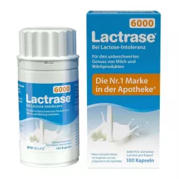 LACTRASE 6 000 FCC Kapslar, 100 st