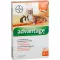 ADVANTAGE 40 mg lösning för små katter/små sällskapskaniner, 4X0,4 ml