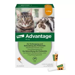 ADVANTAGE 40 mg lösning för små katter/små sällskapskaniner, 4X0,4 ml