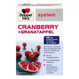 DOPPELHERZ Tranbär+Pomegranat system Kapslar, 60 Kapslar