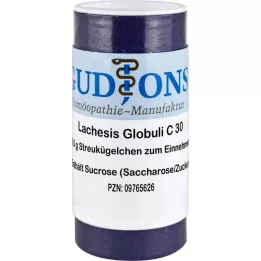 LACHESIS C 30 Gr.6 kulor, 0,5 g