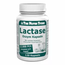 LACTASE 12 000 FCC Enzymkapslar, 120 st