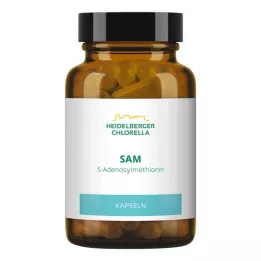 SAM S-ADENOSYLMETHIONIN Kapslar, 60 st