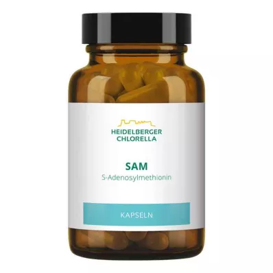 SAM S-ADENOSYLMETHIONIN Kapslar, 60 st