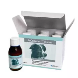 RECONVALES Tonikum för hundar, 6X90 ml