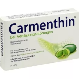 CARMENTHIN för matsmältningsbesvär msr.mjuka kapslar, 14 st