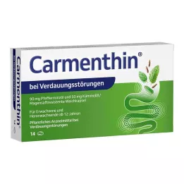 CARMENTHIN för matsmältningsbesvär msr.mjuka kapslar, 14 st