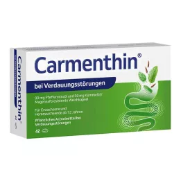 CARMENTHIN för matsmältningsbesvär msr.mjuka kapslar, 42 st