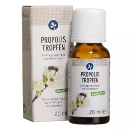 PROPOLIS TROPFEN utan alkohol, 20 ml