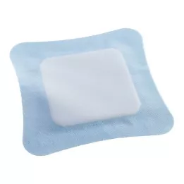 VLIWASORB Pro superabsorb.comp.sterile 22x22 cm, 10 st