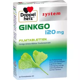 DOPPELHERZ Ginkgo 120 mg system filmdragerade tabletter, 30 st