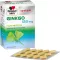 DOPPELHERZ Ginkgo 120 mg system filmdragerade tabletter, 120 st