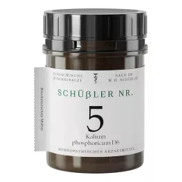 SCHÜSSLER Nr.5 Kalium phosphoricum D 6 Tabletter, 1000 st