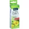 KNEIPP Arnica salva S, 20 g