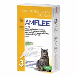 AMFLEE 50 mg spot-on-lösning för katter, 3 st