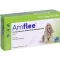 AMFLEE 134 mg spot-on-lösning för medelstora hundar 10-20 kg, 3 st