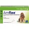 AMFLEE 134 mg spot-on-lösning för medelstora hundar 10-20 kg, 3 st