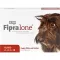 FIPRALONE 134 mg Oral lösning för medelstora hundar, 4 st