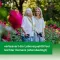 GINKGOVITAL Heumann 240 mg filmdragerade tabletter, 30 st