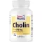 CHOLIN 600 mg ren från bitartrat veg.kapslar, 60 st