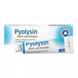 PYOLYSIN Sår- och läkningssalva, 6 g
