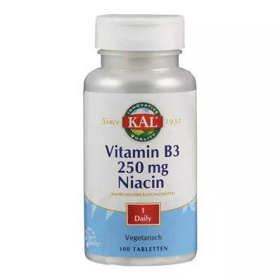 VITAMIN B3 NIACIN 250 mg tabletter, 100 st