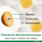 Curcumin-Loges plus Boswellia kapslar, 60 st