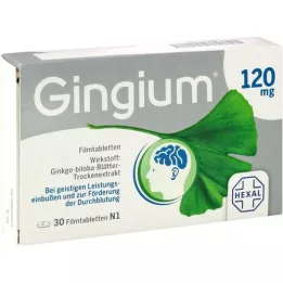 GINGIUM 120 mg filmdragerade tabletter, 30 st