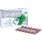 GINGIUM 120 mg filmdragerade tabletter, 60 st
