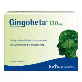 GINGOBETA 120 mg filmdragerade tabletter, 100 st