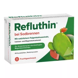 REFLUTHIN för halsbränna tuggtabletter frukt, 48 st