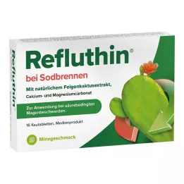 REFLUTHIN mot halsbränna tuggtabletter mint, 16 st