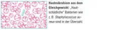 Instructions for use for AKTIVADERM ND Neurodermatit hudbehandling aktiva probiotika, 125 g - 2