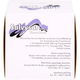 SALVYSAT 300 mg filmdragerade tabletter, 90 st