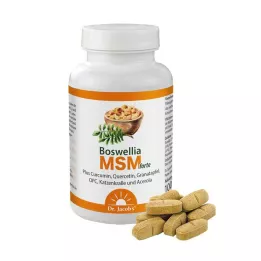 BOSWELLIA MSM forte Dr.Jacobs tabletter, 90 st
