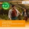 Desloratadin HEUMANN 5 mg filmdragerade tabletter, 50 st
