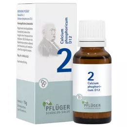 BIOCHEMIE Ploughmans gips 2 Kalciumfosforicum D 12 Gl., 15 g