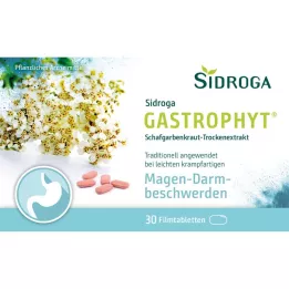 SIDROGA GastroPhyt 250 mg filmdragerade tabletter, 30 st