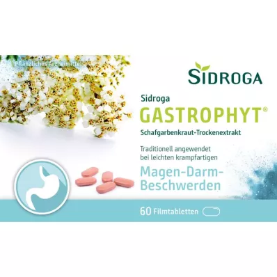 SIDROGA GastroPhyt 250 mg filmdragerade tabletter, 60 st