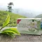 H&S Ekologiskt grönt te från Darjeeling filterpåse, 20X2 g